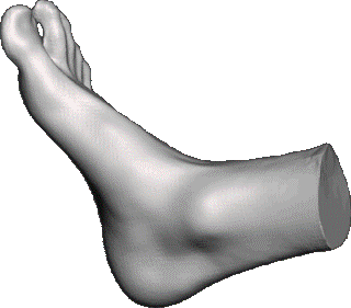 3D Scan eines Fußes